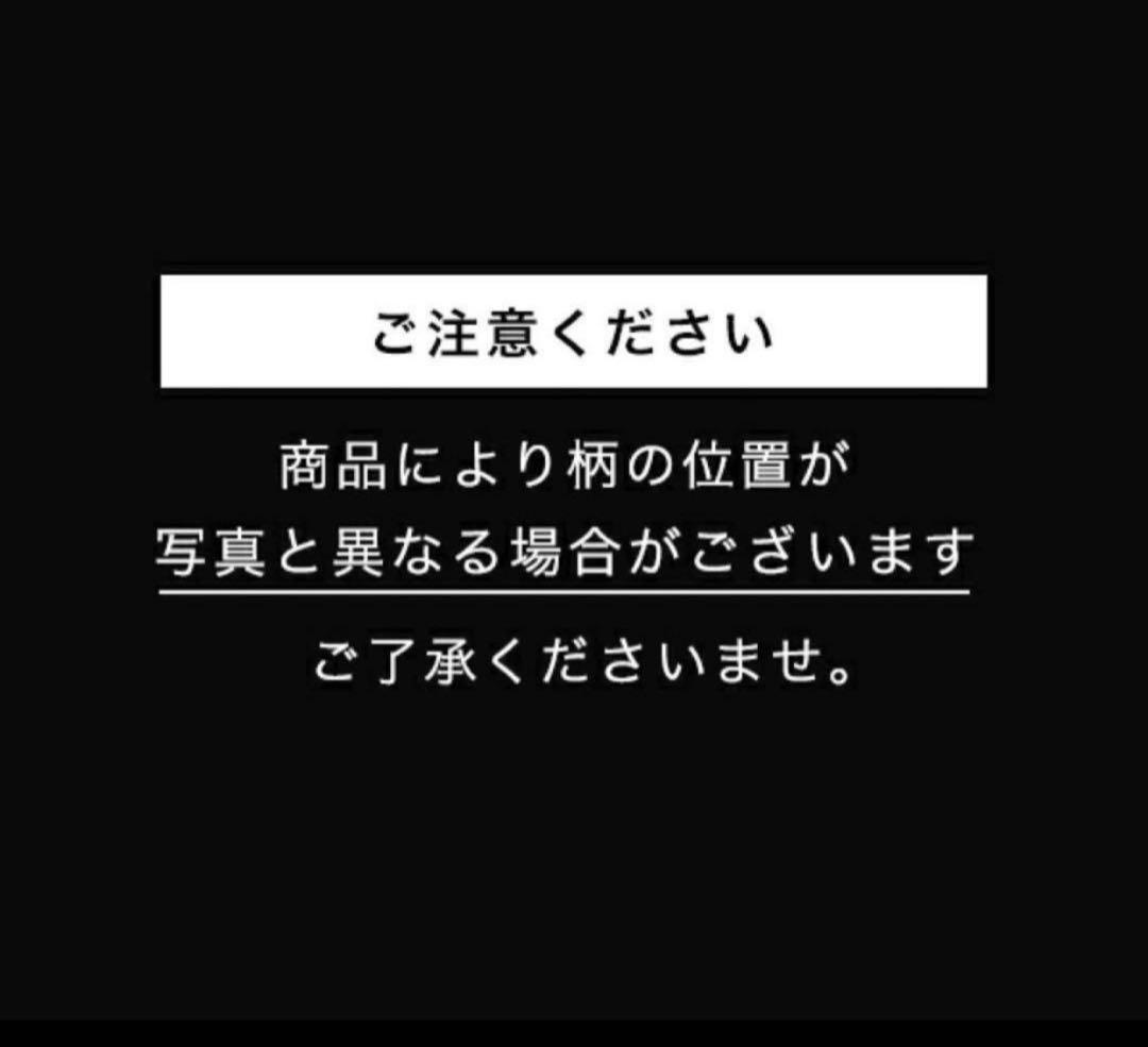 COACHコーチ ×スヌーピーコラボシグネチャーショルダーバッグ