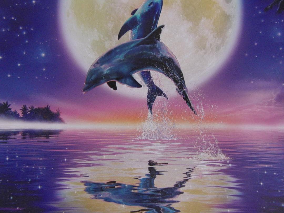 クリスチャン・ラッセン、【オルカムーン3】、希少な額装用画集より