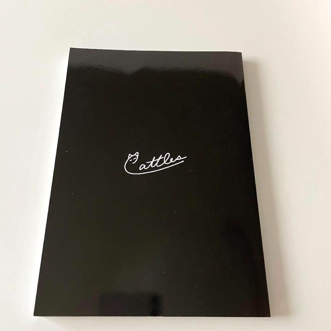 レア！キャットルズ トレードへの取り組み方 黒猫アイランド FX本 株 投資