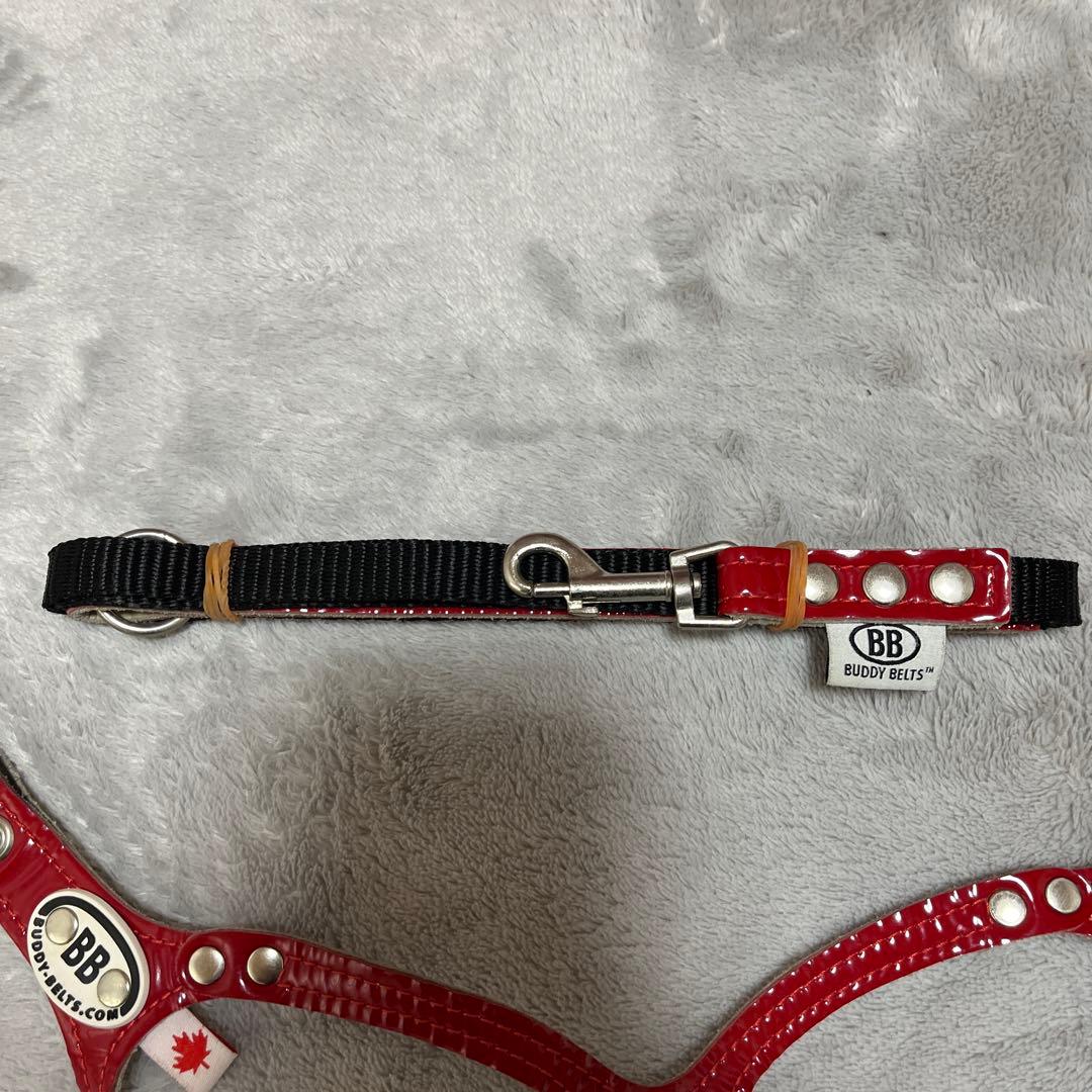 バディーベルト エナメルレッド貴重な限定色3.5号&リードSサイズセット