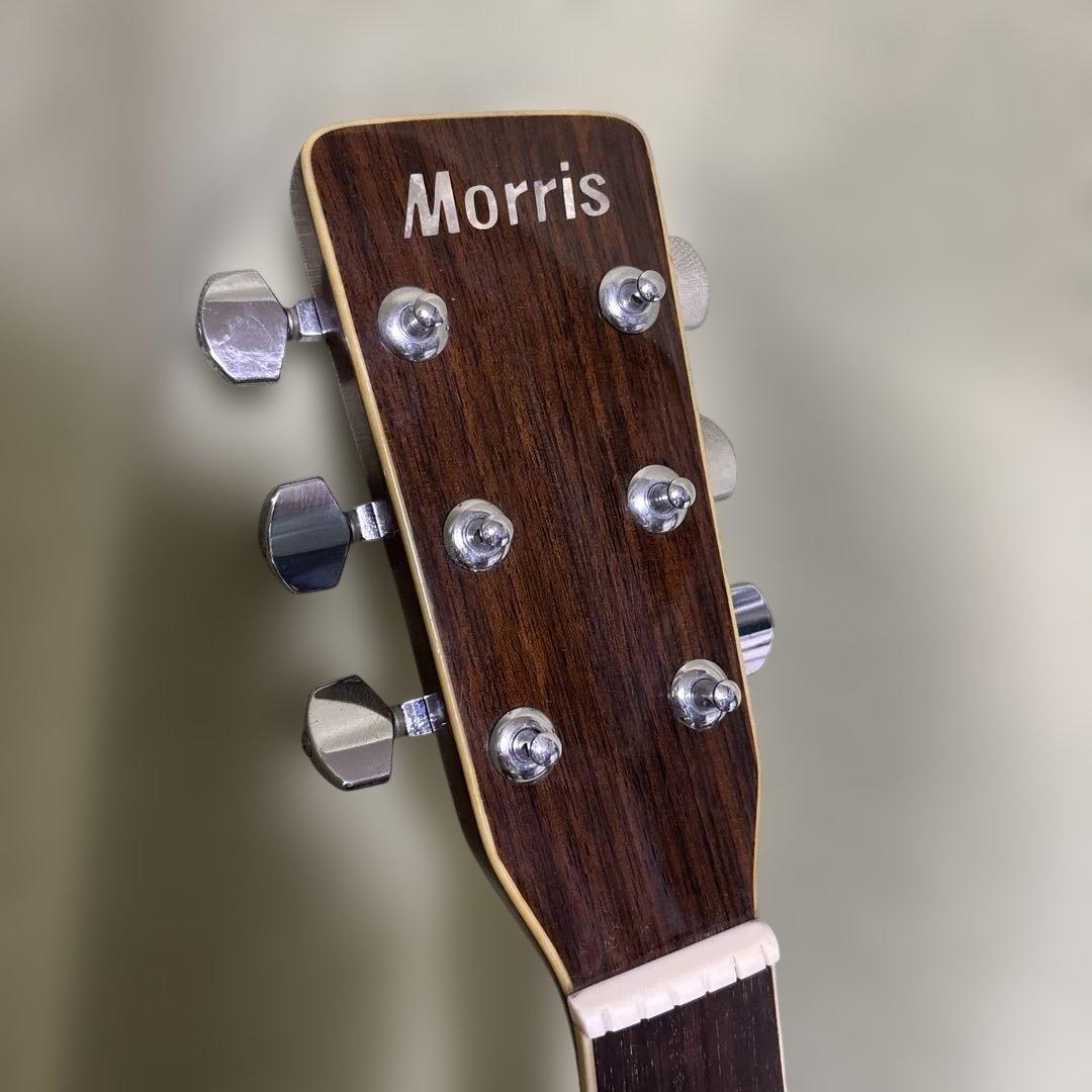 Morris Special W-35 ハードケース ストラップ ゴム式カポ付き