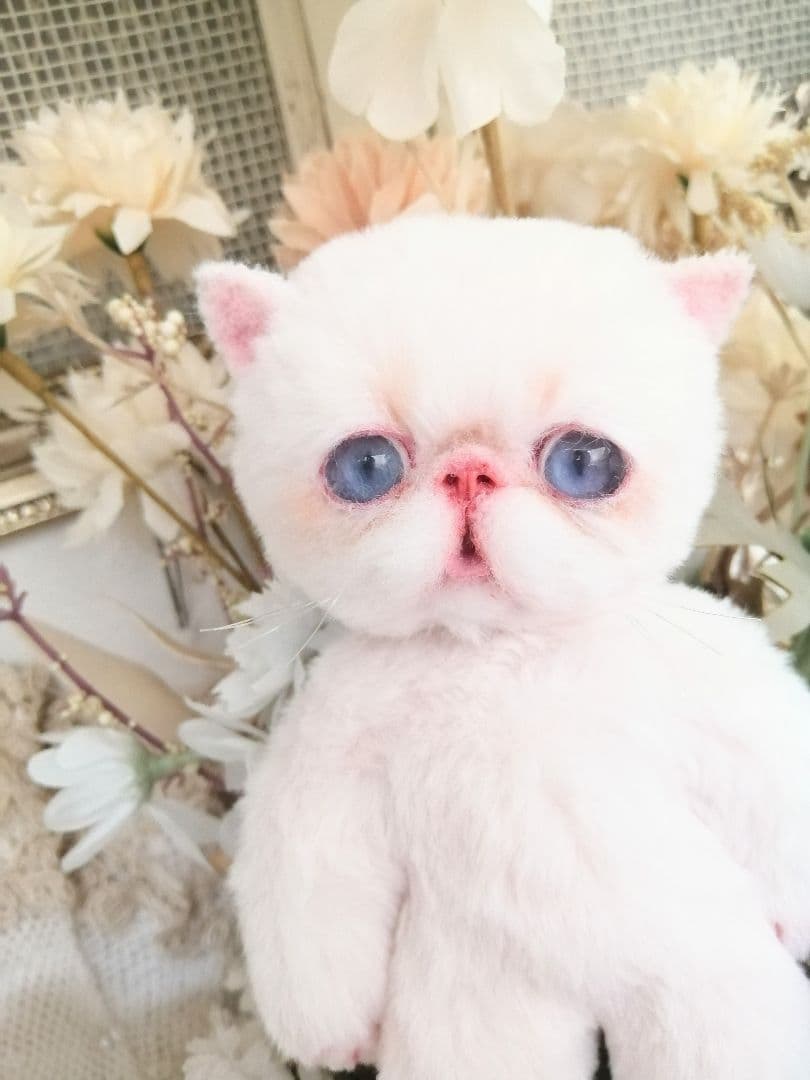 ポッケにゃん♡エキゾチック子猫ちゃん♡アートドール♡ぬいぐるみ