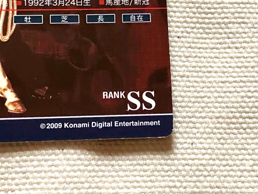 ホースライダーズ マヤノトップガン