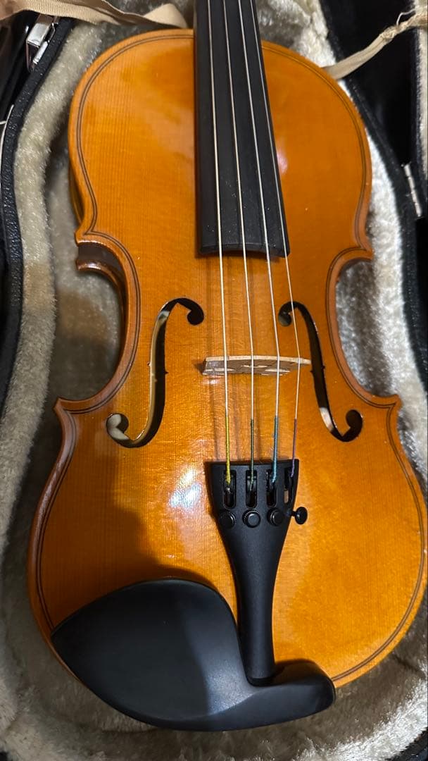 Roderich Paesold【バイオリンセット】 PA801J 1/4