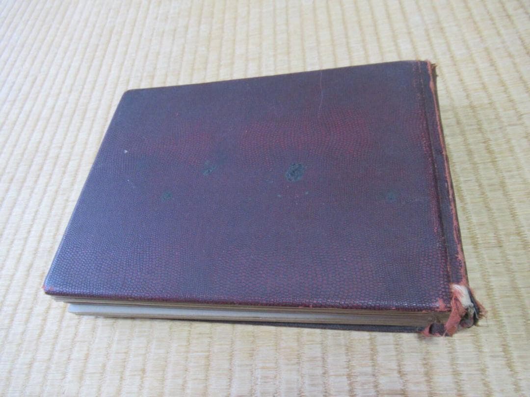 非売品 大正時代◇「オリエンタルの印画紙」美人サンプル生写真30枚