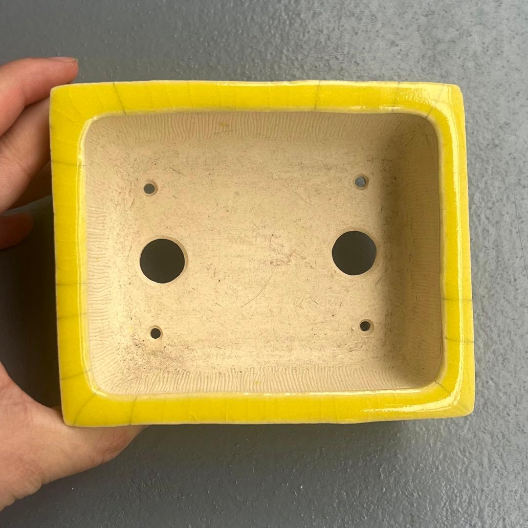 757.桂雲 黄釉段足長方 盆栽鉢 植木鉢 11.8*9.8*4.8cm