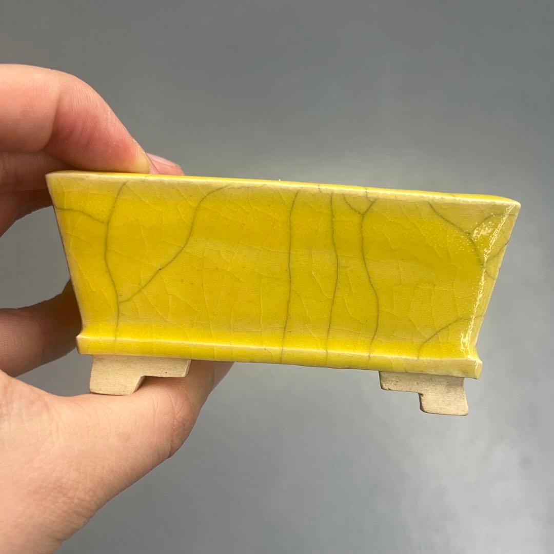 757.桂雲 黄釉段足長方 盆栽鉢 植木鉢 11.8*9.8*4.8cm