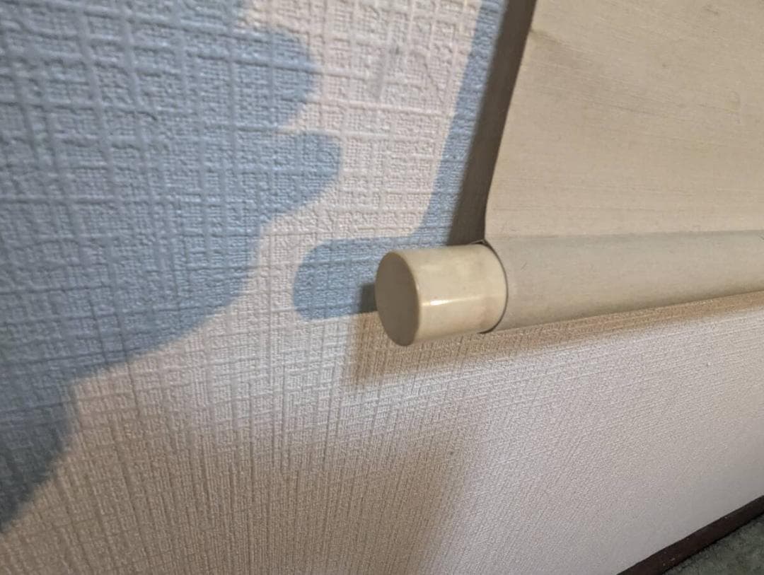 【真作】掛軸　永田春水　葡萄に栗鼠図　花鳥画　淡彩　逸品　合箱入　R149