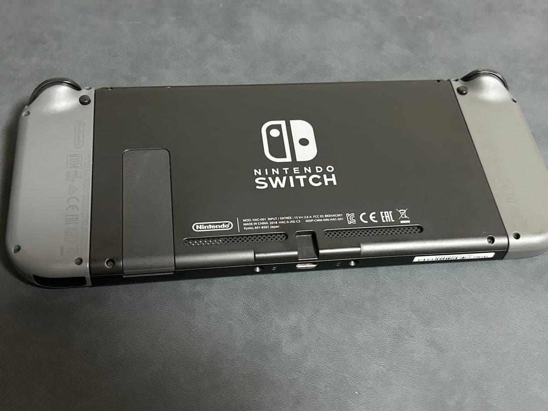 Switch Nintendo Switch グレー　保護ケース付き