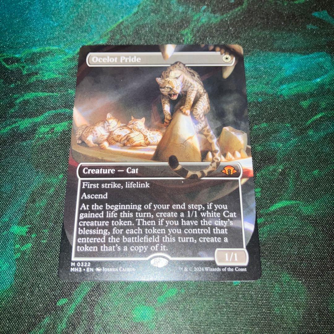 オセロットの群れ 日)オセロットの群れ / Ocelot Pride ☆ボーダーレス☆(フレーム