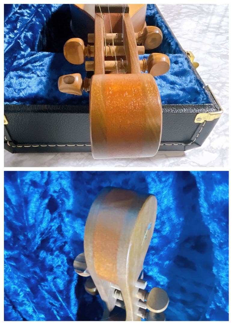 【美品】BLUE LION マウンテンダルシマー　JRW ハードケース付き