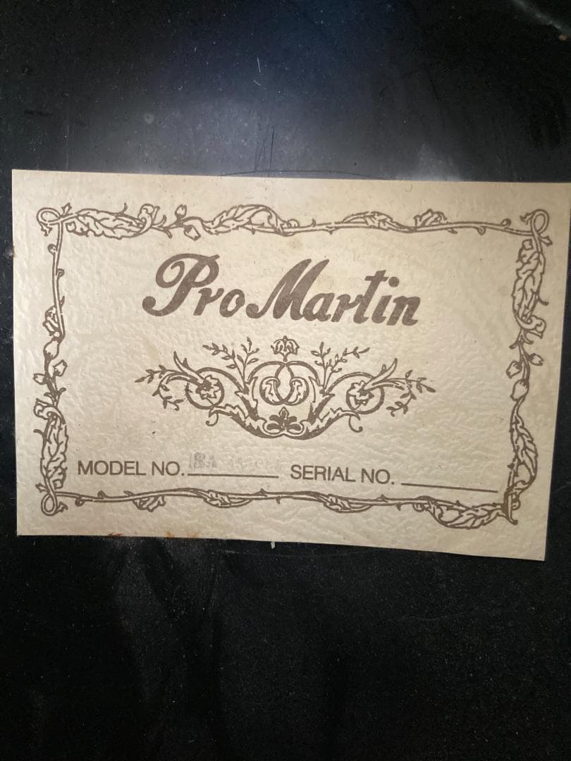 Pro Martin CUSTOM エレアコ EA 450　虎杢