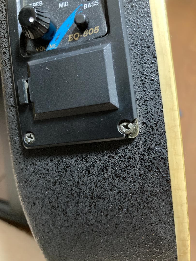 Pro Martin CUSTOM エレアコ EA 450　虎杢