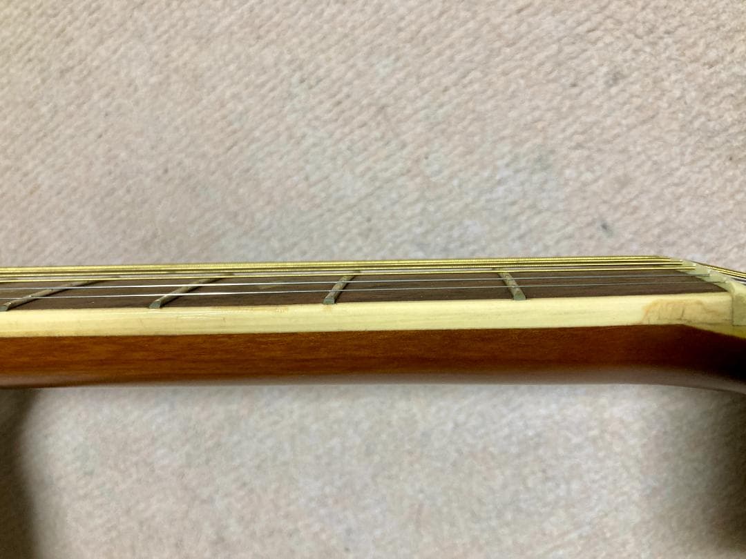 Pro Martin CUSTOM エレアコ EA 450　虎杢