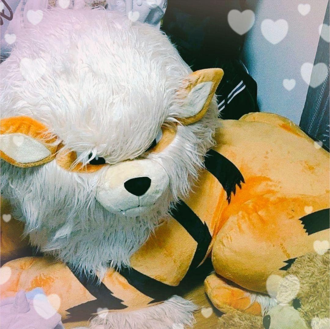 添い寝 ウインディ ぬいぐるみ ポケモンセンター ポケモンセンター