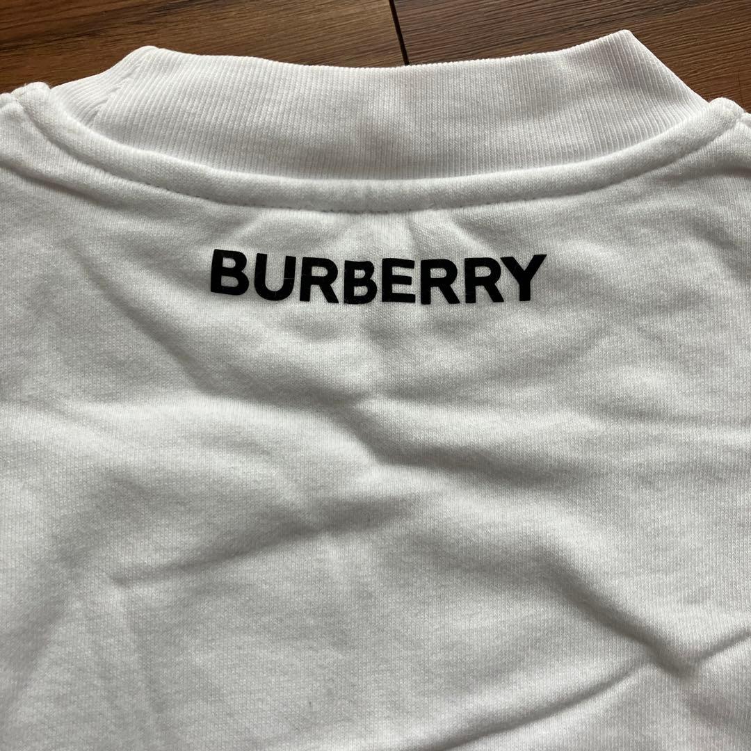 バーバリー　フルーツ　スウェット　トレーナー