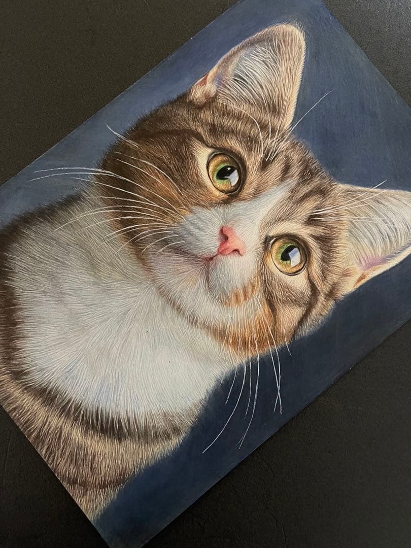 色鉛筆画A4キジシロ38