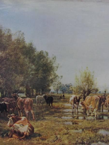 Fen Meadows/Mark Fisher、牧場/マーク・フィッシャー