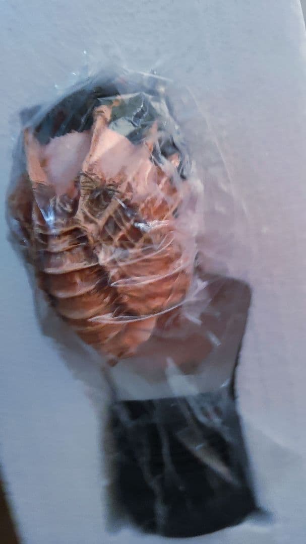 [NECA エイリアン40th•リプリー＆PALISADES フェイスハガー)]