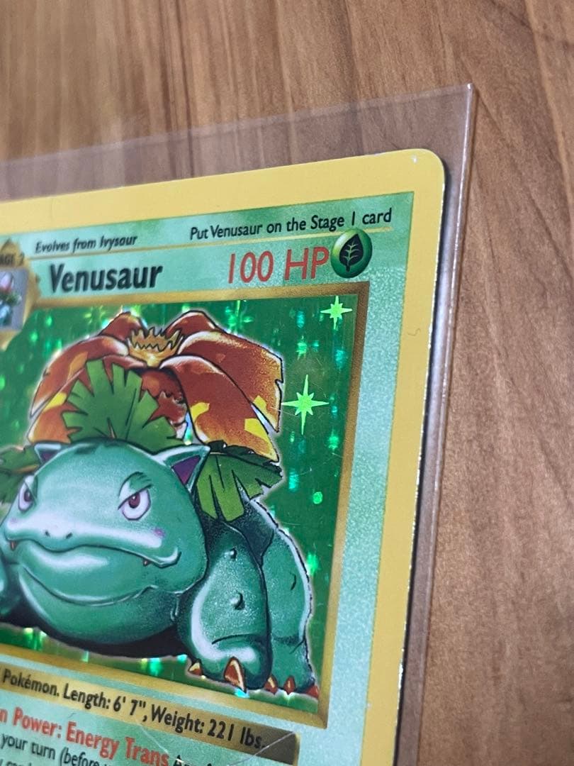 フシギバナ 英語版 旧裏 Venusaur shadow less
