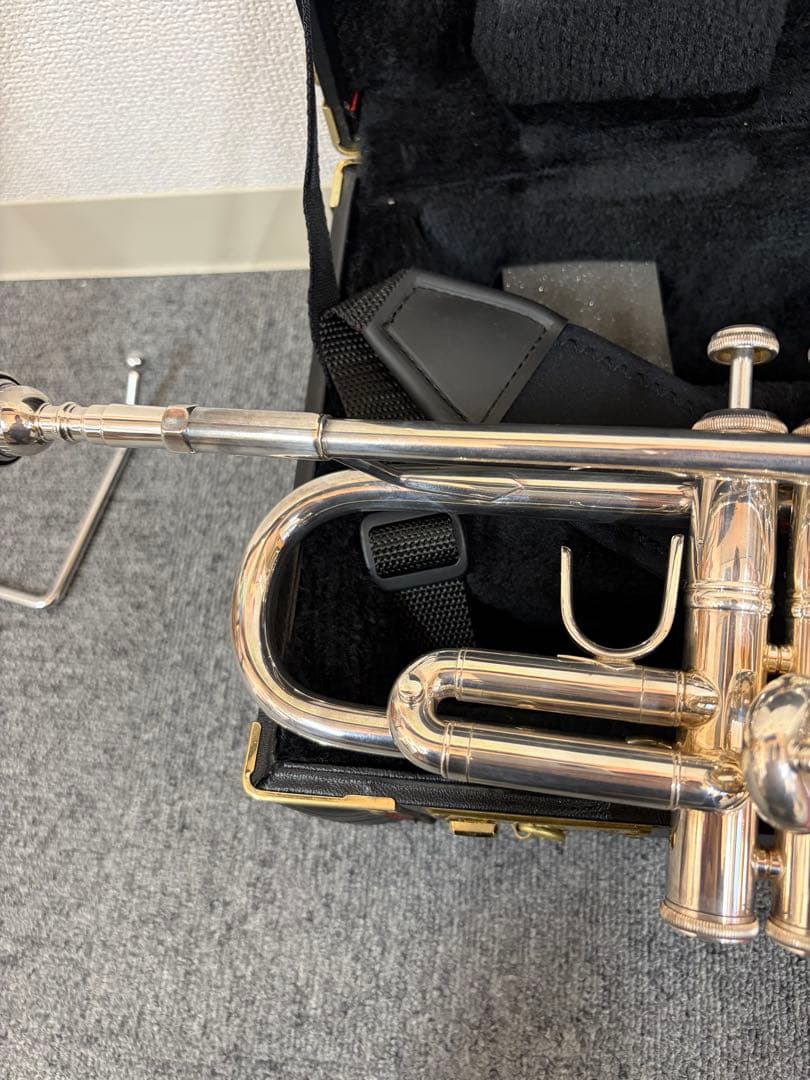 ぽぽちゃん バックトランペット