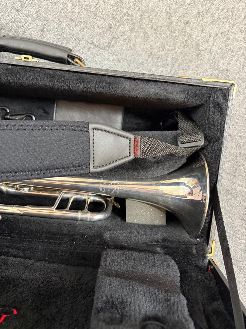 ぽぽちゃん バックトランペット