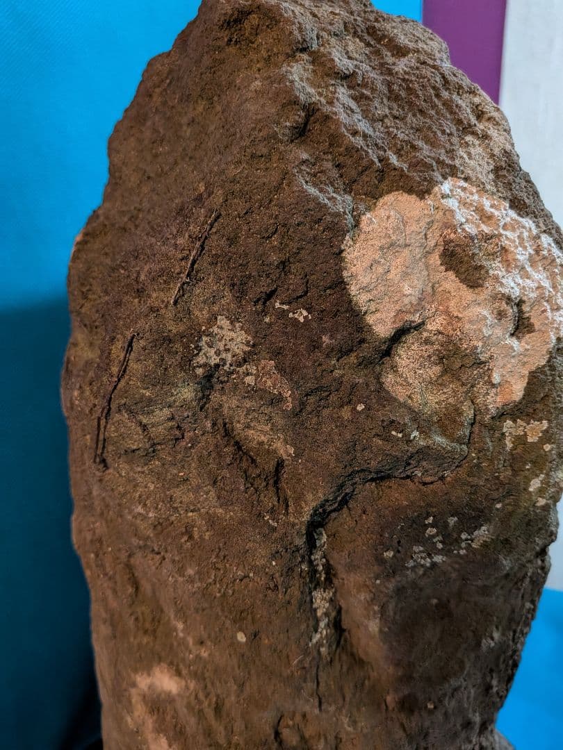 稀少レア江戸時代1707年宝永5年（317年前）徳川綱吉公治世