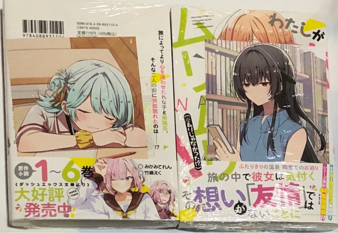 わたなれ 6巻 アニメイトメロンブックス特典 わたしが恋人になれるわけ