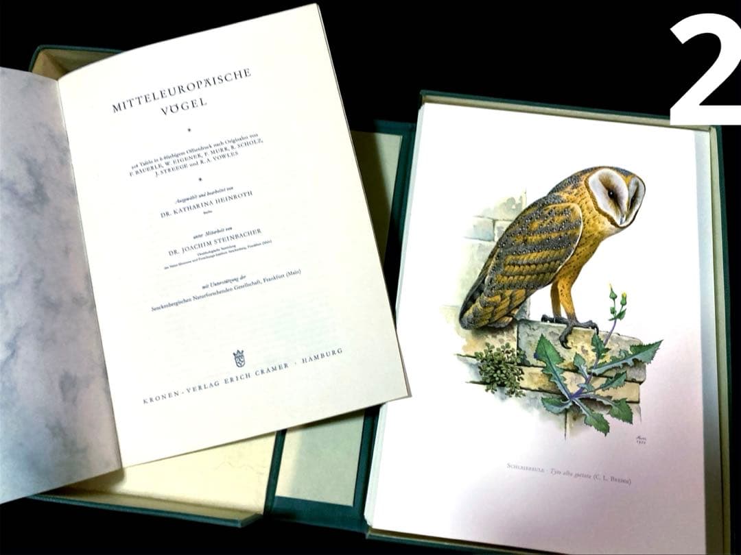 博物図鑑1958年（ドイツ）176枚の 野鳥図版ボタニカルアート