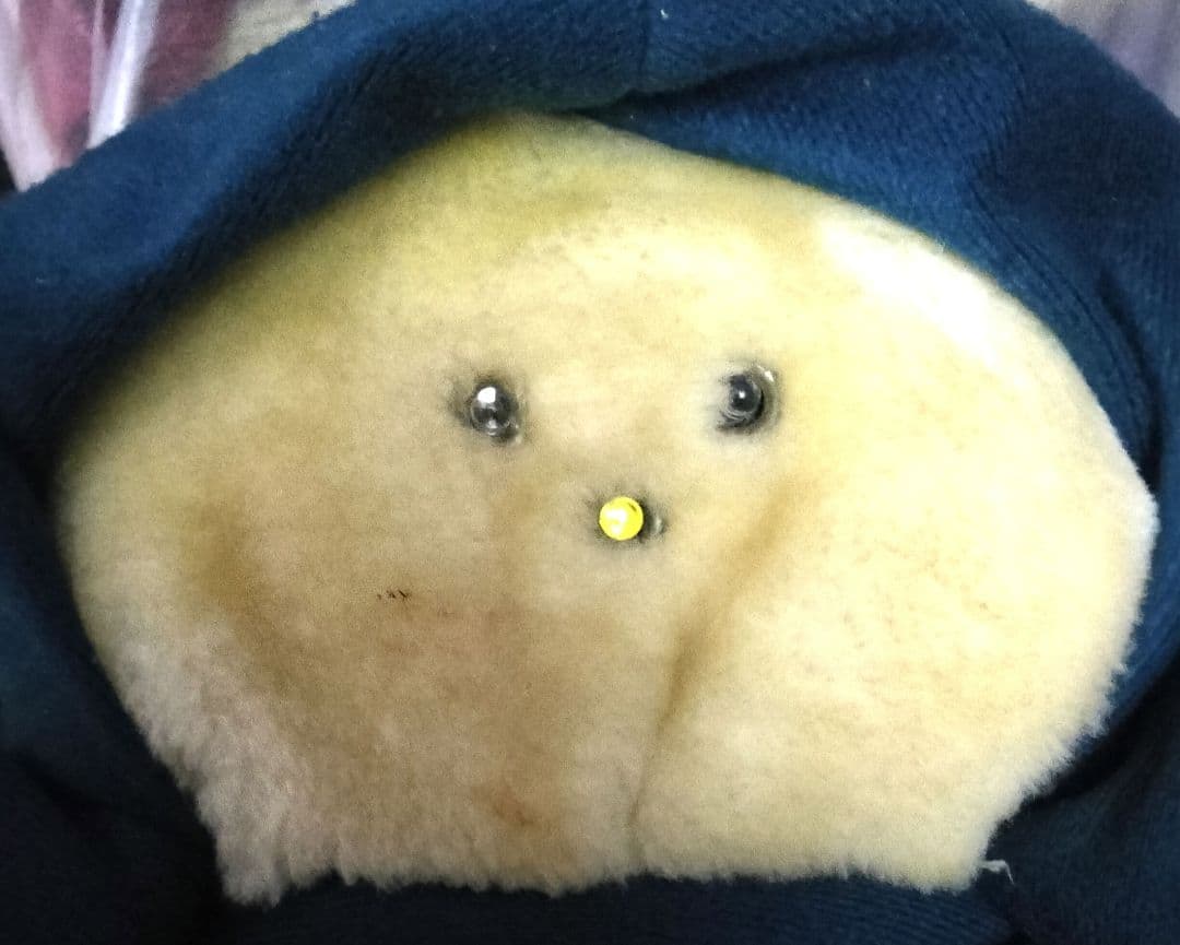 Farby好き　4体セット 80s チャブルス ヴィンテージぬいぐるみファービー