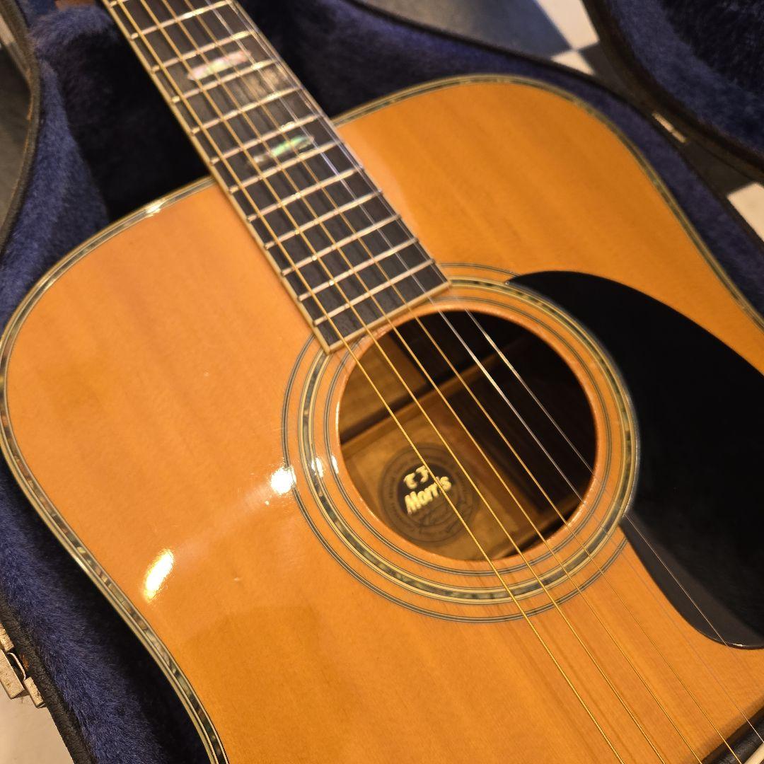 希少 TF MORRIS W-50 アコースティックギター ビンテージ - メルカリ