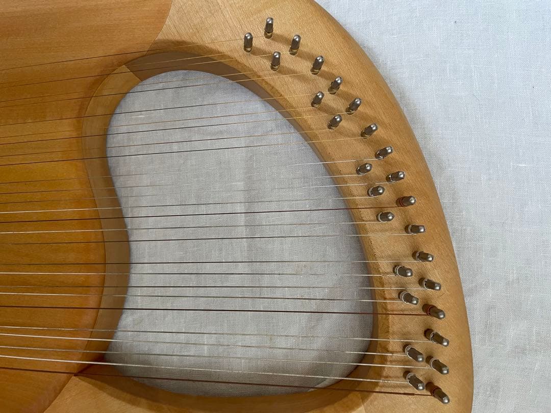 ザーレムライアー　SALEM 27弦