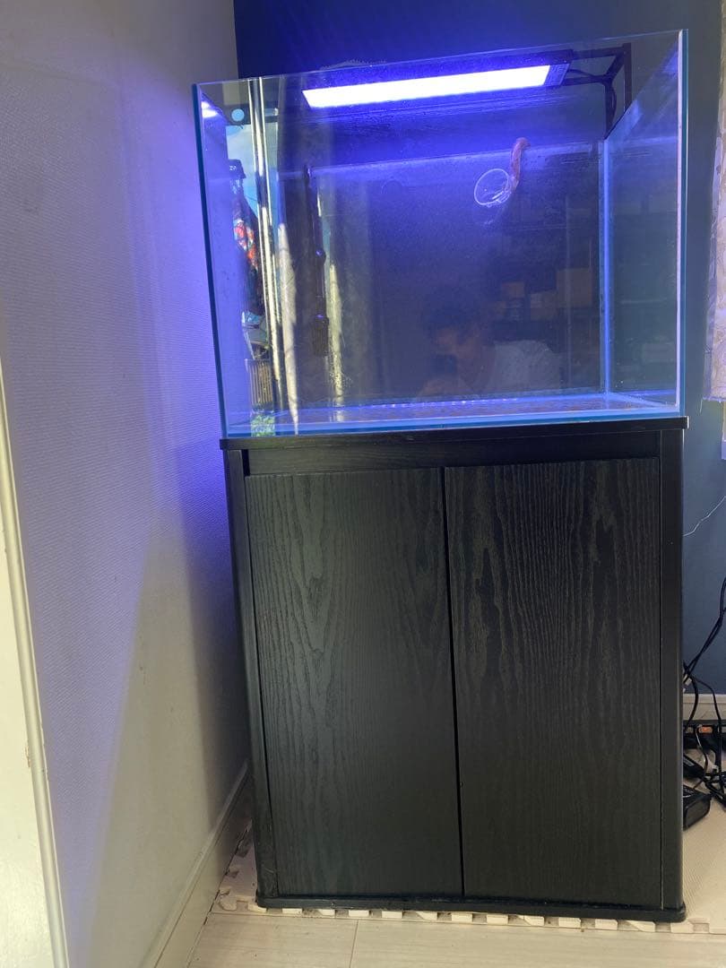 中型ガラス水槽 LEDライト付き
