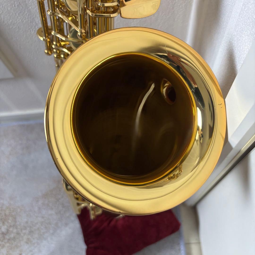 YANAGISAWA Prima A-50 アルトサックス 管楽器 ケース付属品