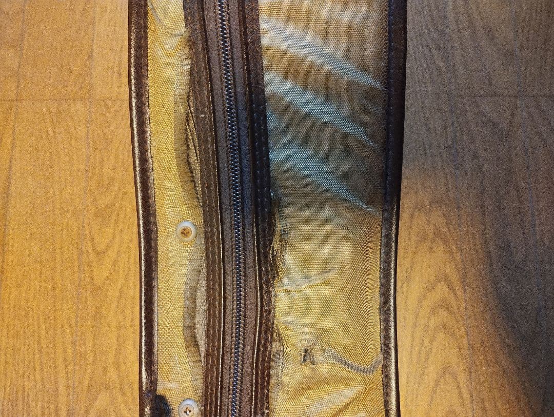 カール・ヘフナー　ヴィオラ 本体 ＋いろいろセット