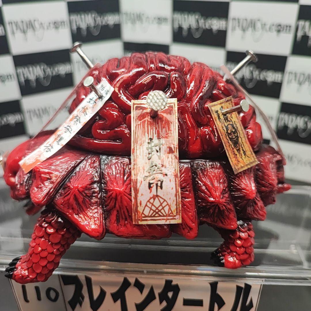 110ブレインタートル