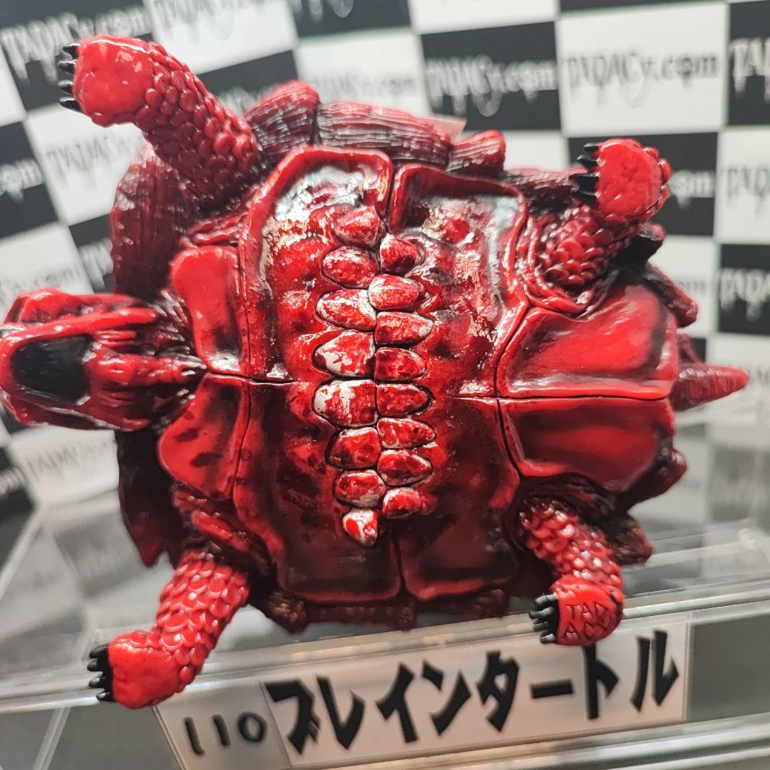 110ブレインタートル