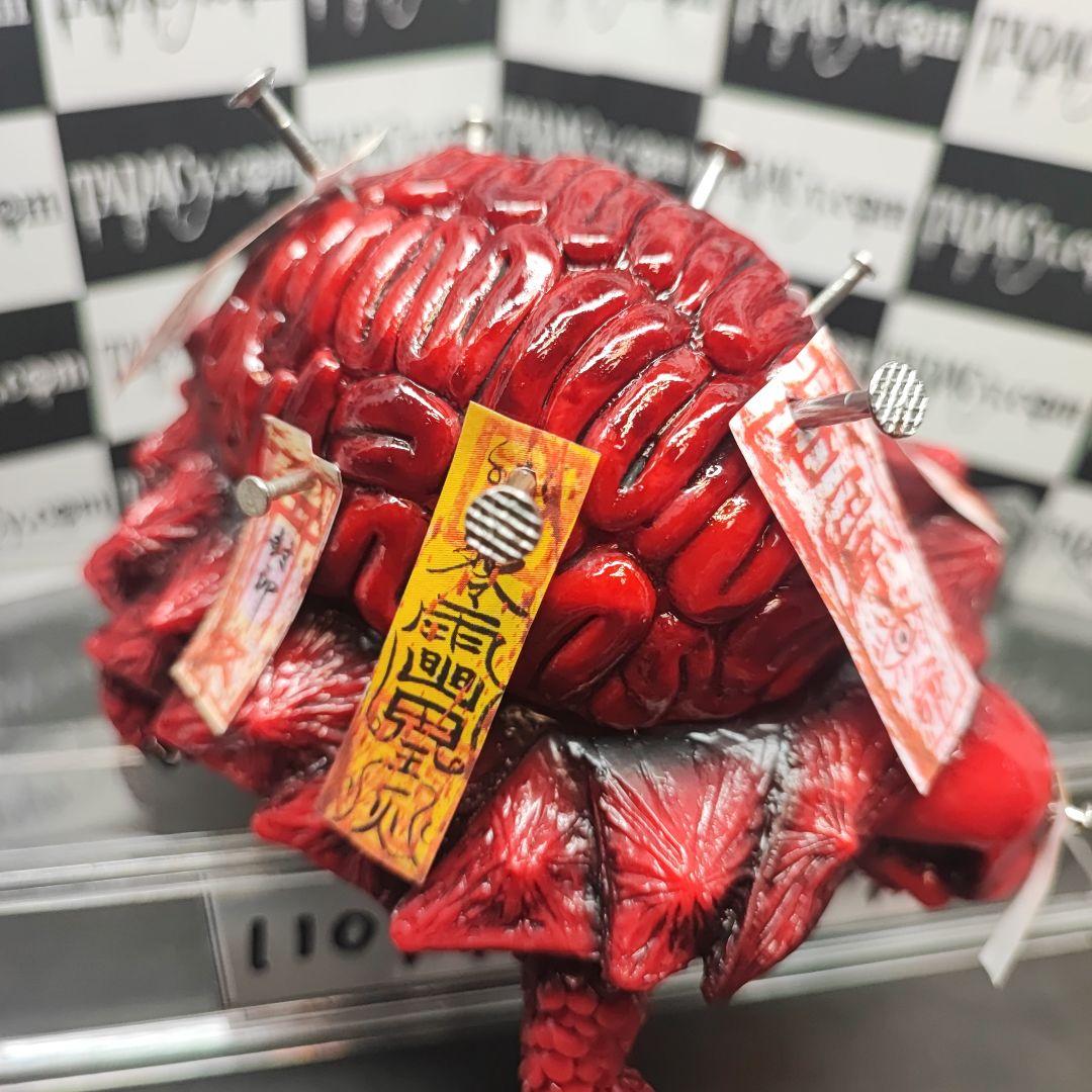 110ブレインタートル