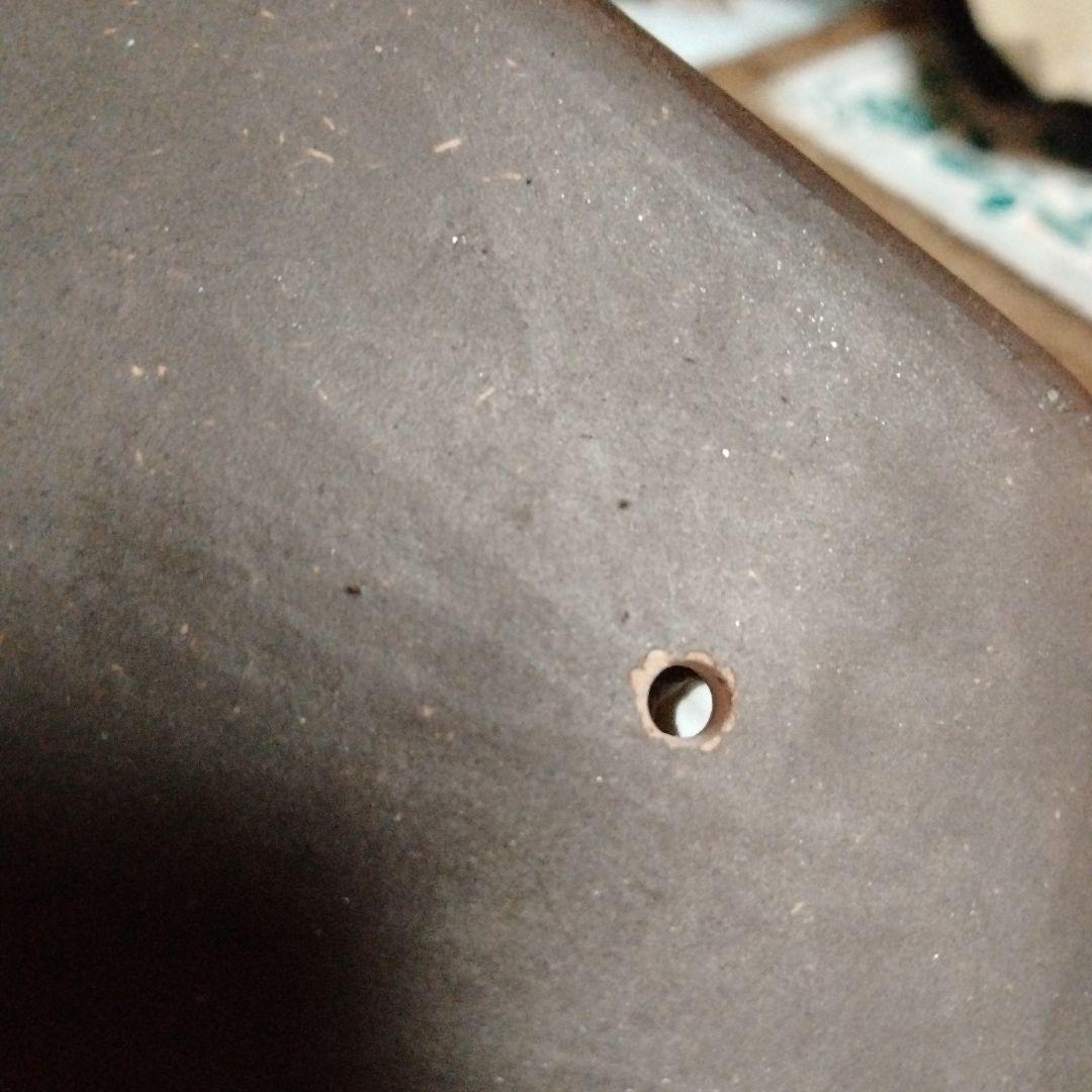 サニーレオパルドさん専用 初代オオサワ ナチュラル