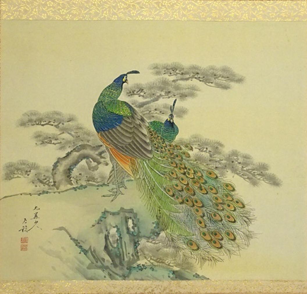 真作】掛軸 分部五鈴『孔雀図』日本画 絹本 共箱付 掛け軸 a091316