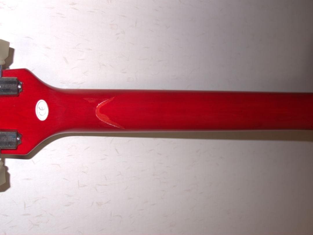 Epiphone Les Paul Standard ジャンク