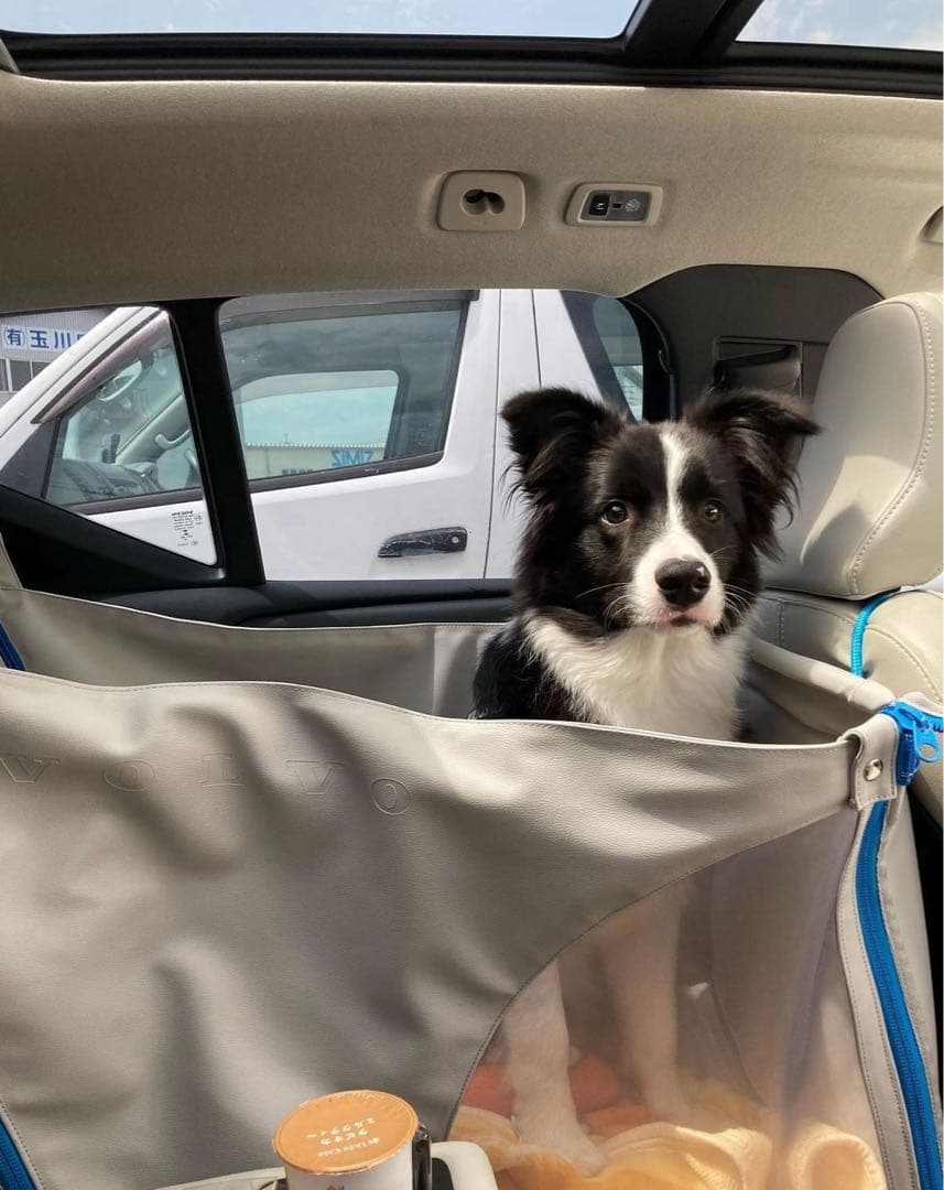 VOLVO純正 ドッグベッド ハーフサイズ - メルカリ