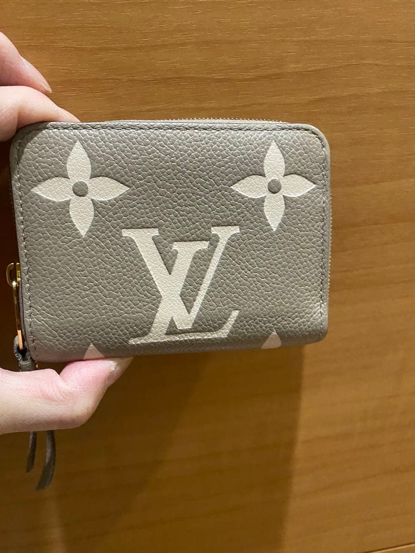 Louis Vuitton アンプラント ケース 美品 M82448