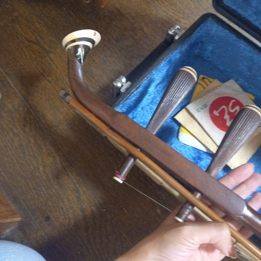 二胡？胡弓？どちらかわかりません　※本島以外の方はコメントください。