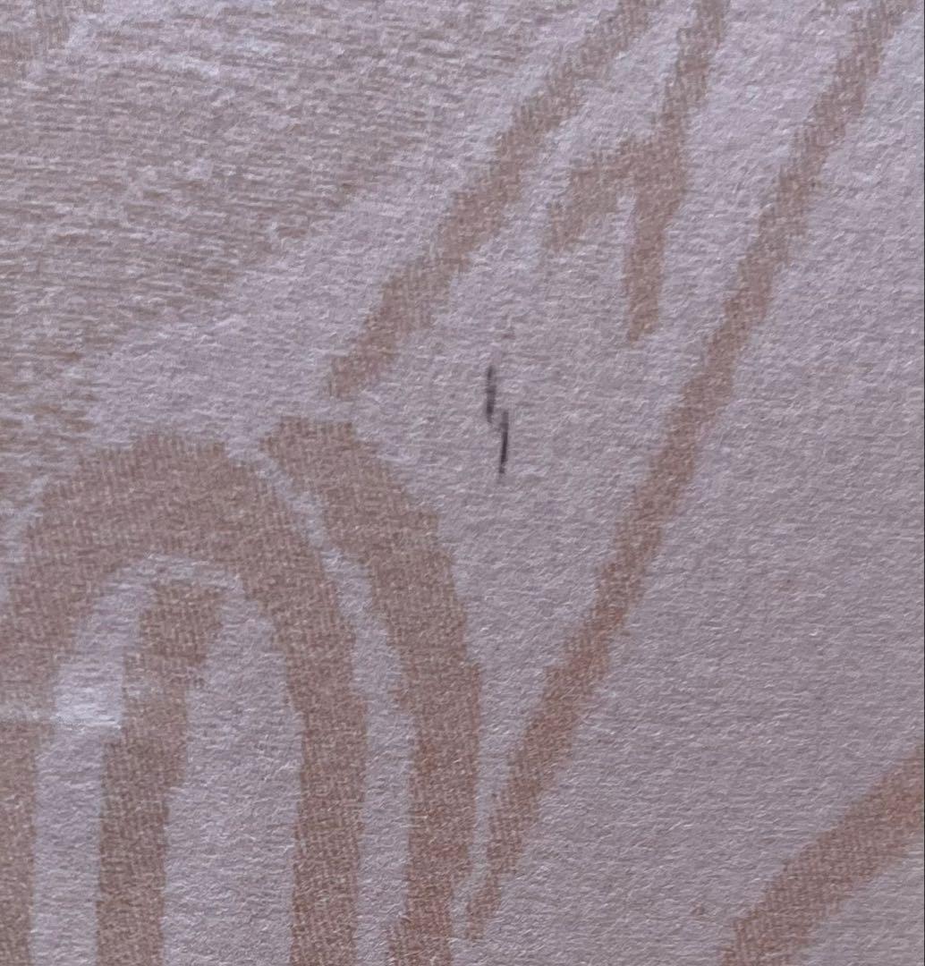 リトグラフ 山口藍 サインあり 松の言 版画集「歌木立」 23/40