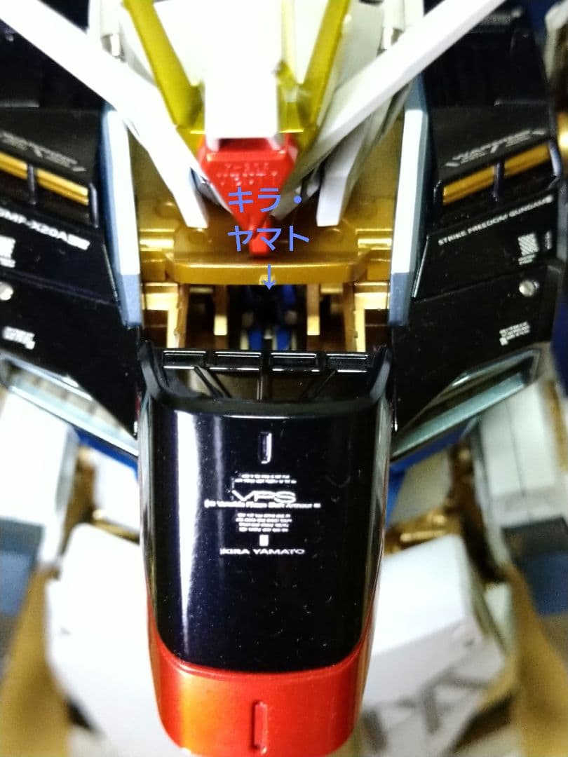 【全塗装済完成品】 1/60 PG ストライクフリーダムガンダム