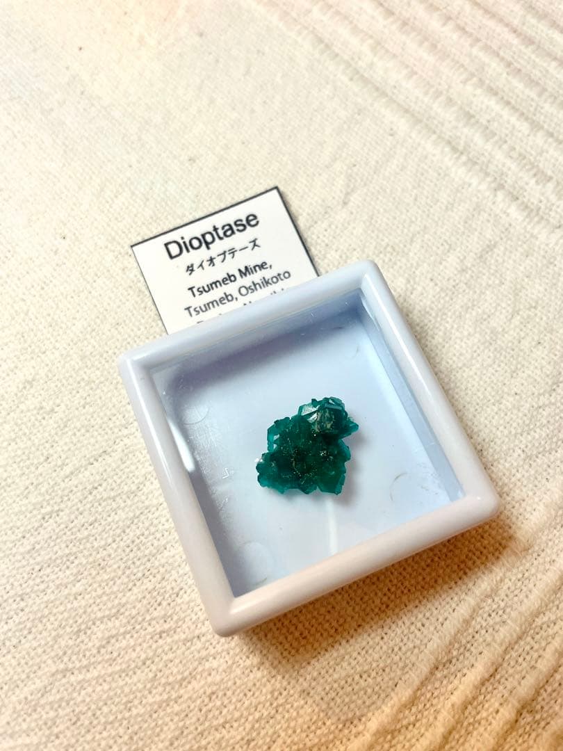 ダイオプテーズ 原石 クラスター 約17mm ナミビア ツメブ鉱山 ケース付