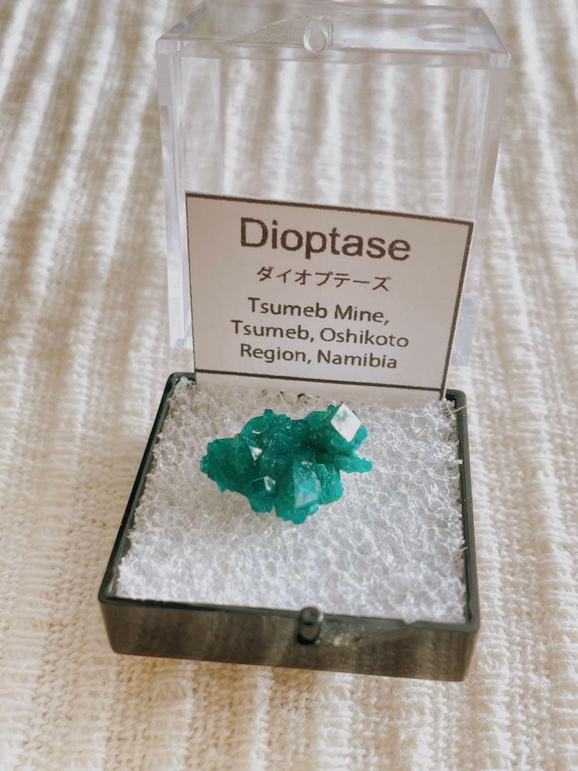 ダイオプテーズ 原石 クラスター 約17mm ナミビア ツメブ鉱山 ケース付