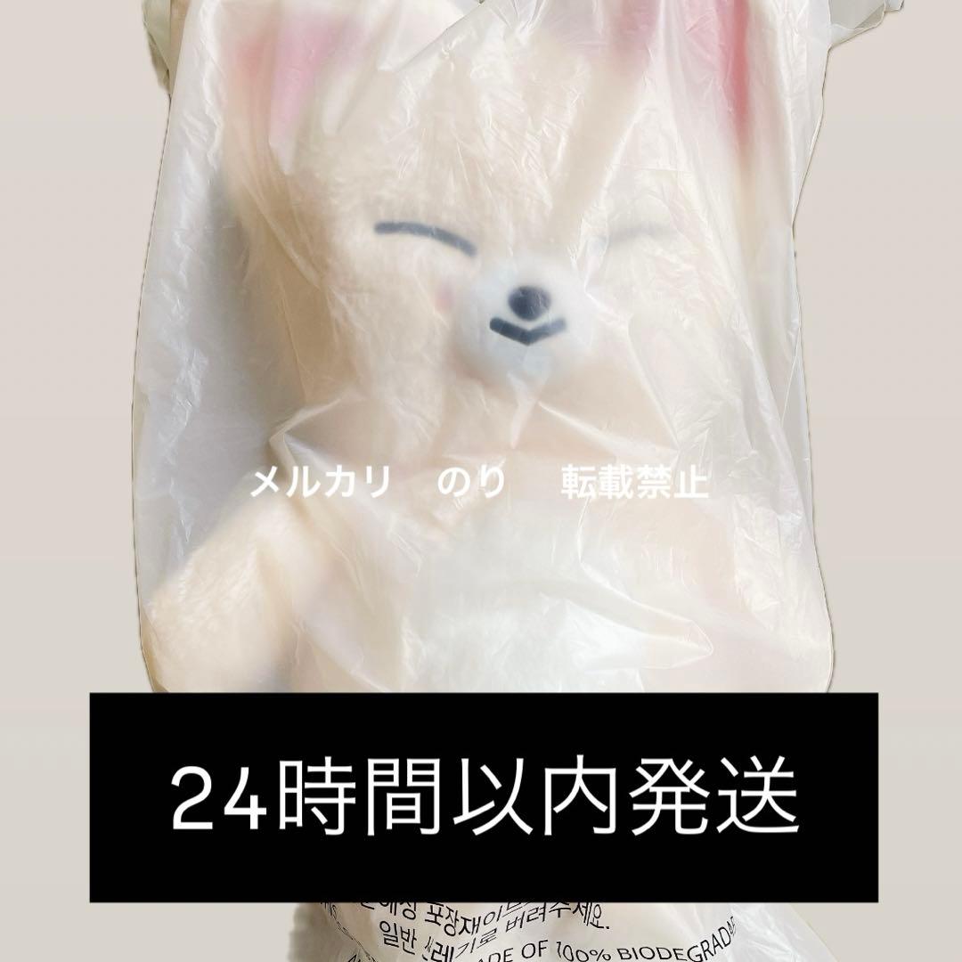 StrayKids SKZ 5'clock テディベア ぬいぐるみ アイエン