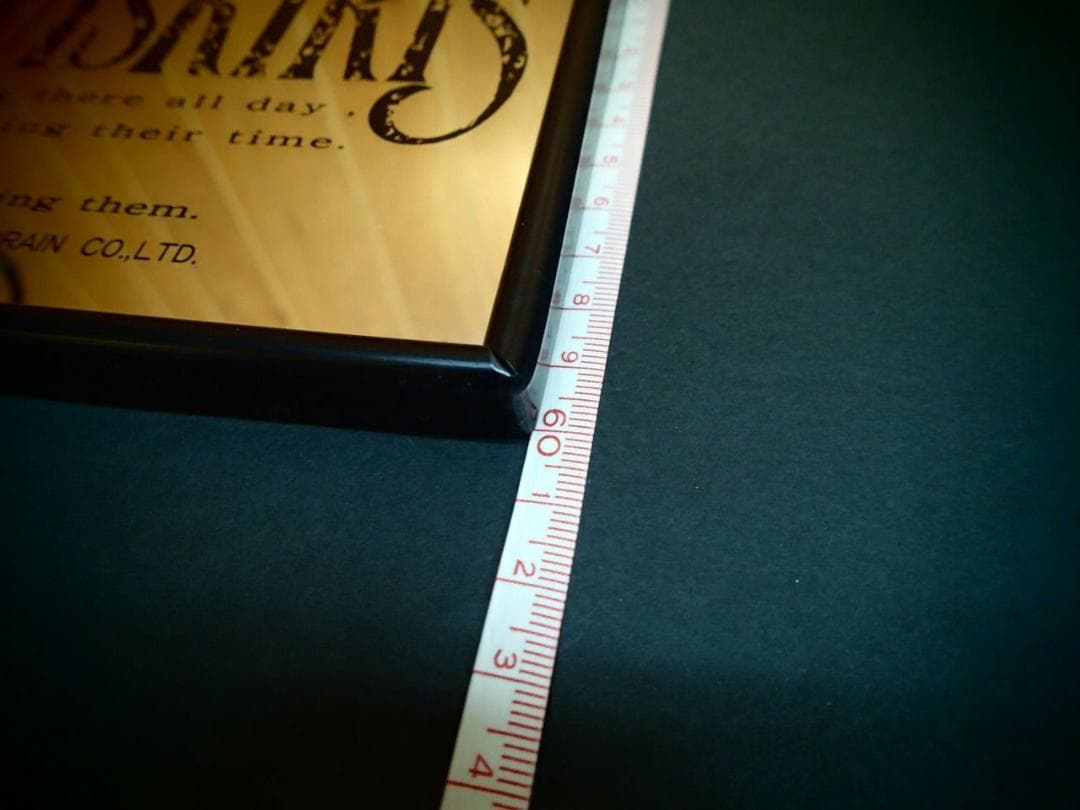 希少 1980s ヴィンテージ パブミラー プールバー